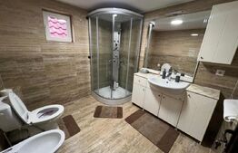 Garsoniera de inchiriat, 50 mp, cu terasa, zona Slobozia