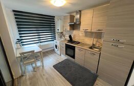 Garsoniera de inchiriat, 50 mp, cu terasa, zona Slobozia