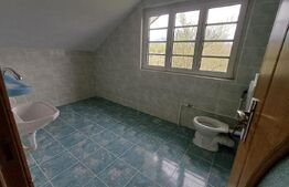 CASA P+1 cu 4 dormitoare zona Arcani