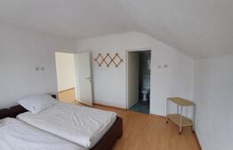 CASA P+1 cu 5 dormitoare zona Arcani