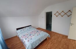 CASA P+1 cu 5 dormitoare zona Arcani