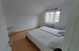 CASA P+1 cu 5 dormitoare zona Arcani