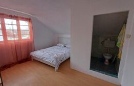 CASA P+1 cu 5 dormitoare zona Arcani