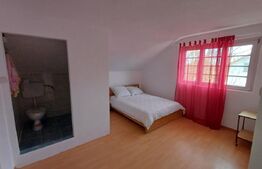 CASA P+1 cu 5 dormitoare zona Arcani