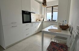 Studio spatios de 47 mp, intr-o zona linistita, Targu Jiu