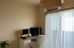 Studio spatios de 47 mp, intr-o zona linistita, Targu Jiu