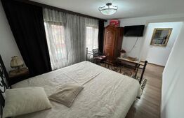 Pensiune de vanzare, 6 camere, 370 mp, zona Arcani 