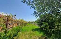 Teren de vanzare, 7300 mp, zona Danesti 