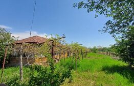 Teren de vanzare, 7300 mp, zona Danesti 