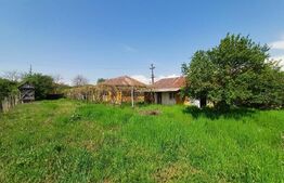 Teren de vanzare, 7300 mp, zona Danesti 