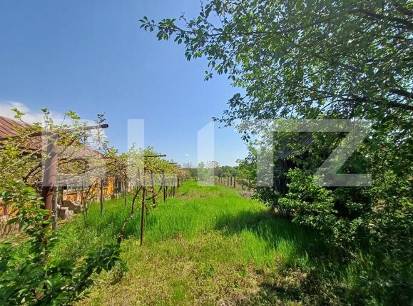 Teren de vânzare Exterior Sud - 169697TV | BLITZ Târgu Jiu | Poza3