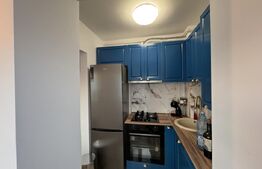 Apartament cu 3 camere, 40 mp, zona Minerilor 