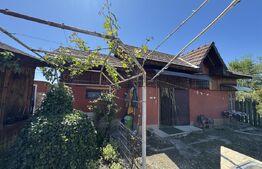 Casa plan parter cu 4 camere, 160 mp si 13000 mp teren, zona Balcesti 