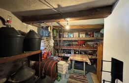 Casa plan parter cu 4 camere, 160 mp si 13000 mp teren, zona Balcesti 