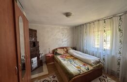 Casa plan parter cu 4 camere, 160 mp si 13000 mp teren, zona Balcesti 