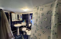 Casa plan parter cu 4 camere, 160 mp si 13000 mp teren, zona Balcesti 