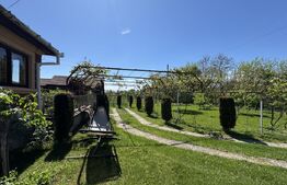 Casa plan parter cu 4 camere, 160 mp si 13000 mp teren, zona Balcesti 