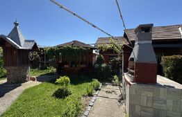 Casa plan parter cu 4 camere, 160 mp si 13000 mp teren, zona Balcesti 