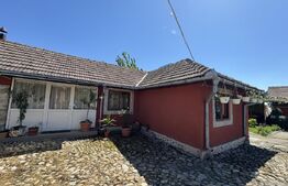 Casa plan parter cu 4 camere, 160 mp si 13000 mp teren, zona Balcesti 