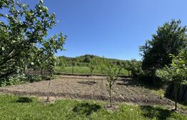 Casa plan parter cu 4 camere, 160 mp si 13000 mp teren, zona Balcesti 