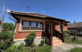 Casa plan parter cu 4 camere, 160 mp si 13000 mp teren, zona Balcesti 