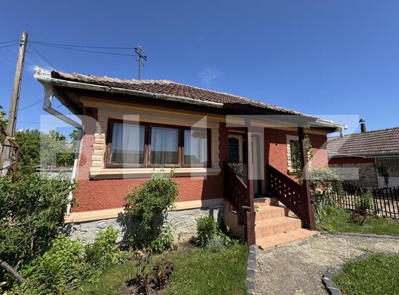 Casa de vânzare 4 camere Exterior Est - 170222CV | BLITZ Târgu Jiu | Poza3