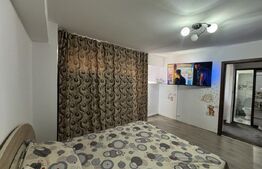 Garsoniera de vanzare, 25 mp, zona ultracentrala-centru pietonal