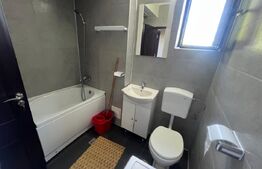 Apartament de inchiriat, cu 2 camere decomandat, 48 mp in zona Comuna din Paris