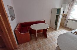 Apartament de inchiriat, cu 2 camere, 40 mp, zona Minerilor