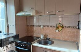 Apartament de vanzare, cu 3 camere, 48 mp, zona parc Nicolae Titulescu