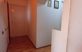 Apartament de vanzare, cu 3 camere, 48 mp, zona parc Nicolae Titulescu