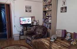 Garsoniera de vanzare, 30 mp, zona Artego