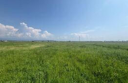 Teren Extravilan, 10.000 de mp, langa Centura Noua din Targu-Jiu