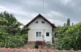 🏡 Casă de vânzare în Slobozia, Târgu-Jiu – teren generos, utilități complete