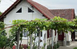 🏡 Casă de vânzare în Slobozia, Târgu-Jiu – teren generos, utilități complete