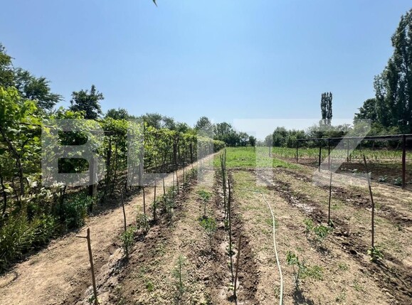 Casa de vânzare 2 camere Exterior Vest - 171790CV | BLITZ Târgu Jiu | Poza4