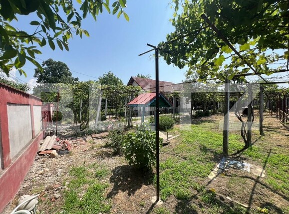 Casa de vânzare 2 camere Exterior Vest - 171790CV | BLITZ Târgu Jiu | Poza6