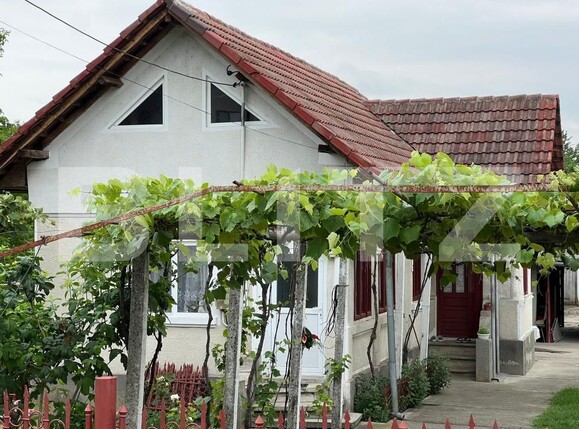 Casa de vânzare 2 camere Exterior Vest - 171790CV | BLITZ Târgu Jiu | Poza8