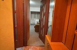 Garsoniera conf 1, Etajul 3, zona Lotrului