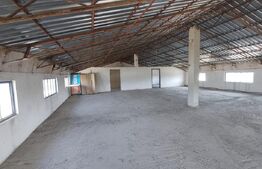 Inchiriere hală de producție sau depozitare