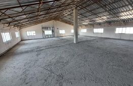 Inchiriere hală de producție sau depozitare