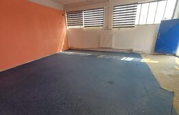 Inchiriere hală de producție sau depozitare