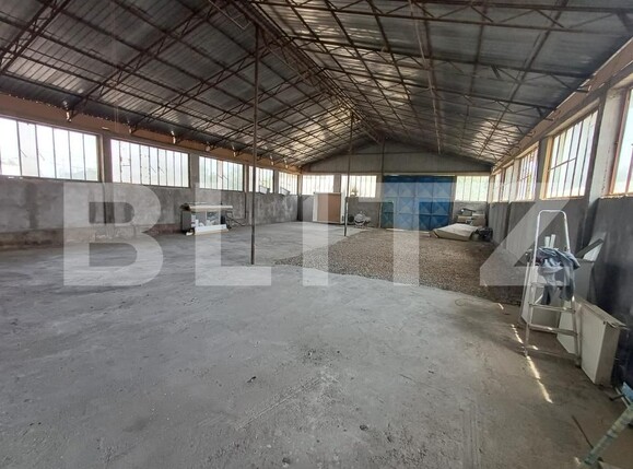 Spațiu industrial de închiriat Nord - 172757SII | BLITZ Târgu Jiu | Poza6