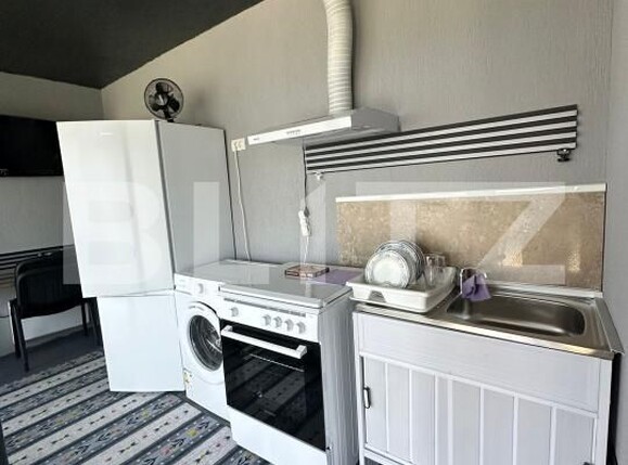 Casa de închiriat 2 camere Șișești - 172964CI | BLITZ Târgu Jiu | Poza8