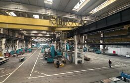 Hale de producție și spații de birouri, zona de Nord 