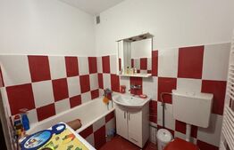 Garsoniera confort 1, 27 mp, zona Debarcader