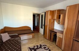 Garsoniera conf 1, Etajul 2, zona Lotrului