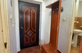 Garsoniera conf 1, Etajul 2, zona Lotrului