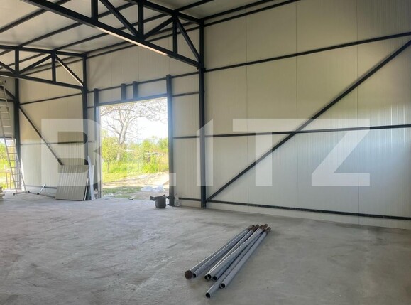 Spațiu industrial de închiriat Sud - 173917SII | BLITZ Târgu Jiu | Poza5