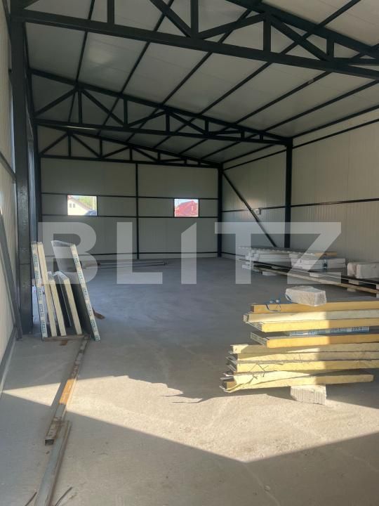Spațiu industrial de închiriat Sud - 173917SII | BLITZ Târgu Jiu | Poza4